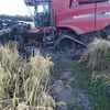 rice_farmer_tank