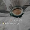 shabnamfarooqi670