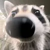 pneu_de_caminhao_pipa