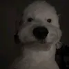 sin_.00