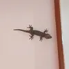 siapaaasayaaa2