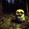iadoreeveryone