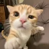 bogdandqr