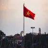 Bée Vân🇻🇳🫶
