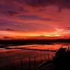 pelukis_senja