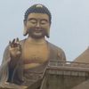 sljyang