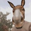 don_keey