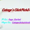 catageclickpicknshop