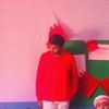 sajeed2821