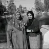 rosayounis
