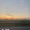 feli_2508