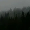 bamsn_