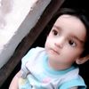 hussain_gull110