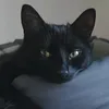 whattypes