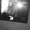 maco_xyl