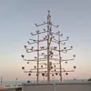 silvia_carmen8
