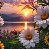 am_omran1