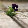 yousif_alhag
