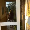 ona_vinyalsb