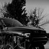 antoine_495