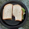 canihaveasandwich