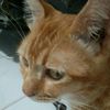 piter62600