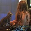 destinyis.silly