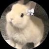 jadoobaby1