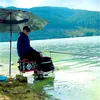 Hoàng fishing999999