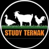 studyternak