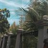 edoy_258