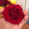 estelarobles49