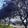 nourah_alshahrani