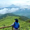 yayacantik99