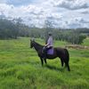 madsss_equestrian