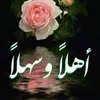 user86000711