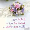 user6113516703267