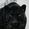 user_m.a_78