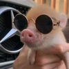bucinmoneyheist