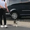 justmyhusky