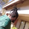 nyashadzashehapanyengwi
