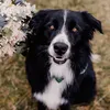 lena_and_monty