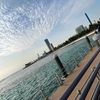 omar987_