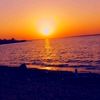 elle_darq