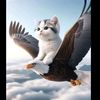 anna.inacoin
