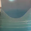 duckhoi200222