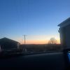 thelilyways