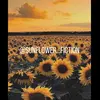 sunflower...fiction