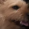 hamtpmwtpwwttp