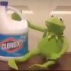 kermits.dick